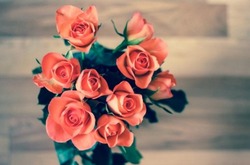 Губкинцы смогут заказать цветы с доставкой через онлайн-сервис «Артфлора»
