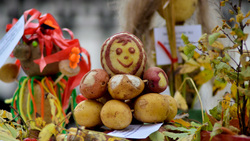 Ярмарка «Ах, картошка-объеденье!» пригласила гостей в губкинское село Чуево