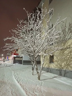 Медики напомнили губкинцам простые правила защиты от холода