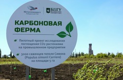 Металлоинвест направил более 26 миллиардов рублей на природоохранную деятельность в 2024 году