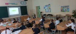 Школьники села Вислая Дубрава приняли участие в программе «Охрана природы»