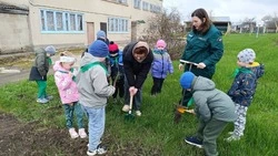 Юные эколята села Скородное приняли участие в акции «Посадка деревьев, кустарников и цветов»