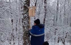Работники лесного хозяйства Белгородской области приступили к подготовке гнездовий для птиц