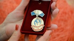 Многодетные матери могут получить Почётный знак «Материнская слава»