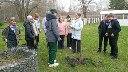 Вислодубравские школьники стали частью большого Всероссийского экологического движения