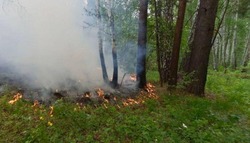 Особый противопожарный режим продолжил действовать на территории Белгородской области 