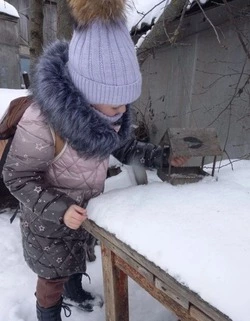 Юные архангельцы губкинской территории изготовили кормушки для птиц