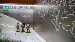 Просветительские мероприятия в рамках выставки-форума «Россия» прошли в день Белгородской области 