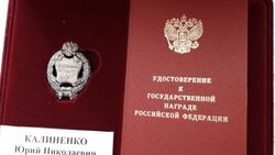 Евгений Савченко вручил государственные награды лебединцам*