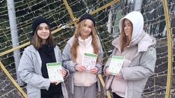 Губкинские волонтёры напомнили об опасности употребления алкоголя 