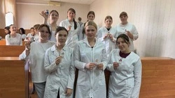 Троицкие культработники провели мастер-класс по изготовлению медицинской броши