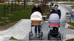За шесть лет 432 студенческие семьи получили единовременную выплату при рождении ребёнка