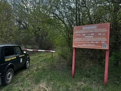 Губкинское лесничество напомнило об особом противопожарном режиме