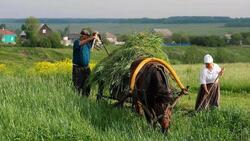 Белгородская облдума поручила расширить список получателей сельской надбавки к пенсии