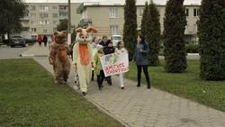 Троицкие ребята губкинской территории провели акцию в защиту прав животных