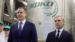 Вячеслав Гладков анонсировал начало стройки нового завода компании ЭФКО в Белгородской области