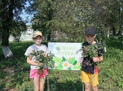 Культработники села Уколово губкинской территории провели программу «Зелёная аптека»