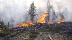 Власти продлили особый противопожарный режим на территории Белгородской области