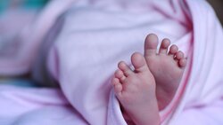 Отдел ЗАГС Губкинского горокруга зарегистрировал 624 малыша за десять месяцев