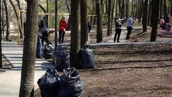 Вячеслав Гладков призвал жителей поучаствовать в месячнике добровольного служения региону
