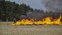 Особый противопожарный режим продолжит действовать на территории Белгородской области 