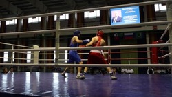 Открытие областных соревнований по боксу прошло в Губкине