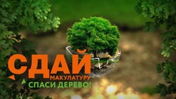 Всероссийский эко-марафон по переработке макулатуры стартовал в регионе