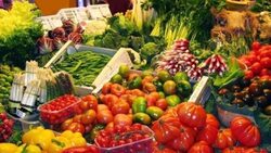 Белгородские власти намерены выйти на самообеспечение овощами