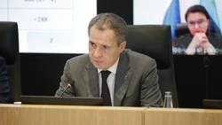 Вячеслав Гладков поручил создать алгоритм действий для потенциальных участников СЭЗ