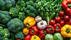 Жители Губкинского городского округа смогут посетить муниципальные ярмарки 17 и 18 января