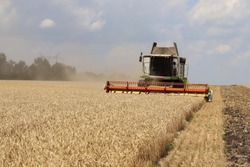 Уборочная кампания продолжилась в Губкинском горокруге 