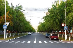 Новые деревья появятся на центральных улицах Губкина 