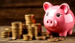 Белгородцы внесли более 5,5 миллиардов рублей в программу долгосрочных сбережений