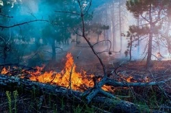 Спасатели напомнили губкинцам о мерах пожарной безопасности при сильной жаре