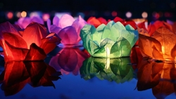 Фестиваль водных фонариков пройдёт в Губкине 5 августа