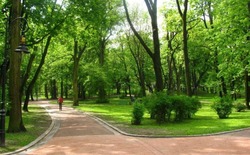 13 тысяч губкинцев приняли участие в голосовании по выбору дизайн-проекта «Петровского парка»