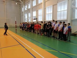 Районные соревнования по волейболу прошли в Губкинском горокруге 