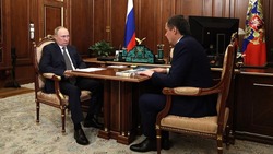 Владимир Путин ознакомился с отчётом Вячеслава Гладкова о состоянии экономики Белгородской области