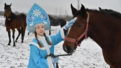 Гороскоп на 2026 год: время новых возможностей, стремительных перемен и ярких эмоций