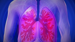 Хроническая обструктивная болезнь лёгких: клиника и профилактика