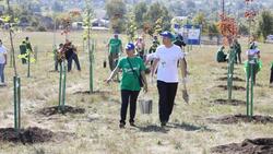 Металлоинвест поддержал всероссийскую акцию «Сохраним лес» в Губкине*