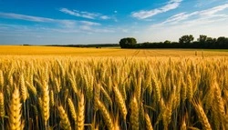 Михаил Лобазнов и Галина Колесникова поздравили работников агропромышленного комплекса