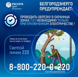 Белгородэнерго напомнил о правилах санитарной обрезки деревьев  в охранных зонах ЛЭП   
