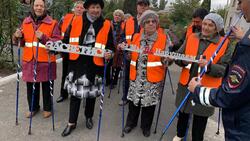 Губкинские пенсионеры стали консультантами дорожной безопасности