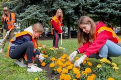Государственная инспекция труда напомнила губкинцам о правилах трудоустройства несовершеннолетних 