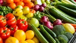 Губкинцы вновь смогут купить свежие и качественные продукты на муниципальных ярмарках