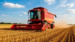 Губкинские власти подвели итоги работы агропромышленного комплекса за девять месяцев 2025 года