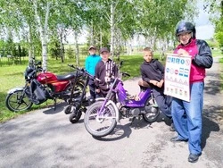Юные жители села Богословка губкинской территории приняли участие в викторине «Дорожная азбука»