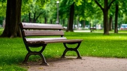 Онлайн-голосование по выбору дизайн-проектов на 2026 год стартовало в Губкинском городском округе
