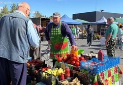 Губкинцы смогли посетить традиционную выставку-ярмарку «Золотая осень»